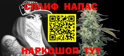 прущие грибы Краснознаменск