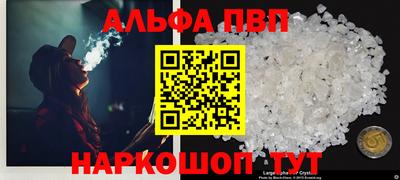 прущие грибы Краснознаменск