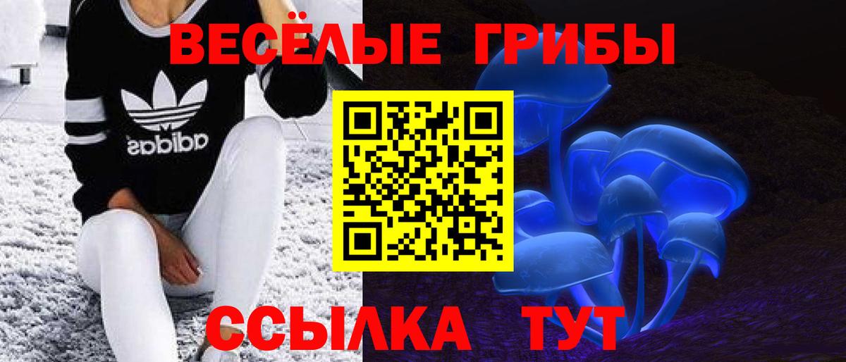 Псилоцибиновые грибы Psilocybe  Галлюциногенные грибы GOLDEN TEACHER  наркотики  Урус-Мартан  Вход с VPN 